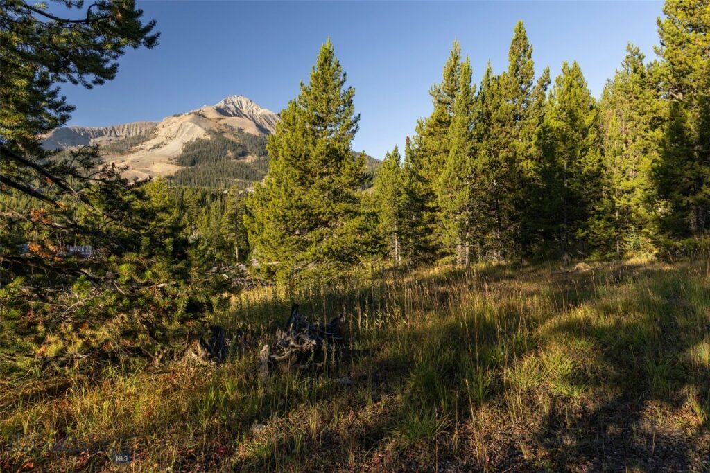 Big Sky MT 59716 - 4