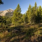 Big Sky MT 59716 - 4