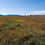 TBD Lot 10 Boreal Way