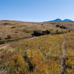 Bozeman MT 59715 - 3