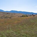 TBD Lot 10 Boreal Way