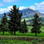 Bozeman MT 59715 - 9