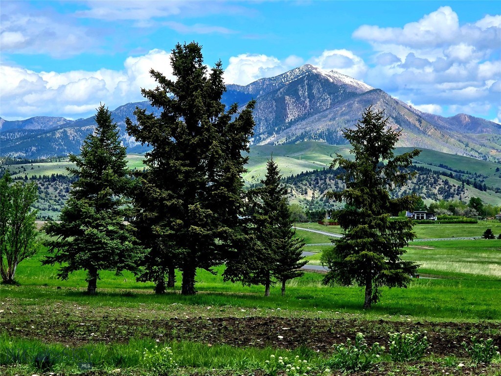 Bozeman MT 59715 - 9