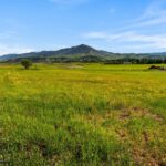 Bozeman MT 59715 - 10