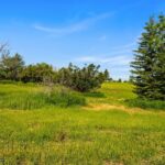 Bozeman MT 59715 - 2