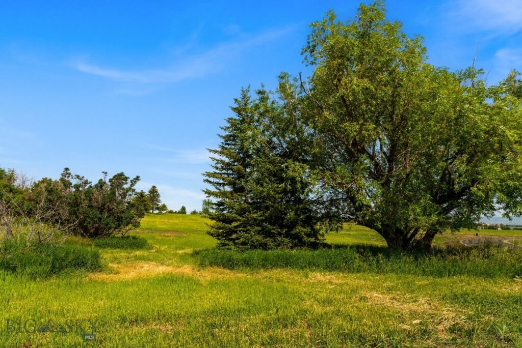 TBD Lot 17 Boreal Way