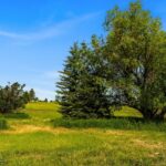 TBD Lot 17 Boreal Way