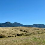 Bozeman MT 59715 - 1