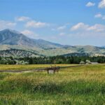 Bozeman MT 59718 - 2