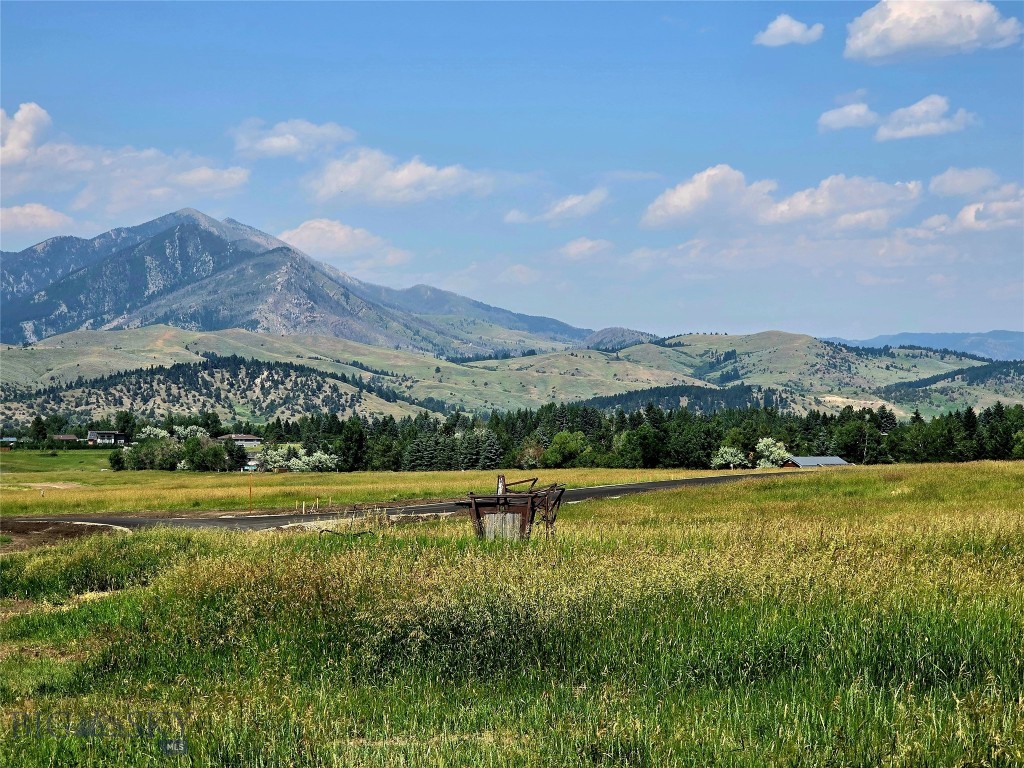 Bozeman MT 59718 - 2