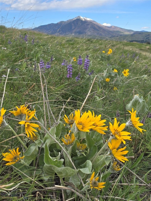 Bozeman MT 59718 - 3