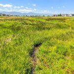 TBD Lot 34 Meadow Bridge