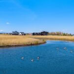 Bozeman MT 59718 - 4