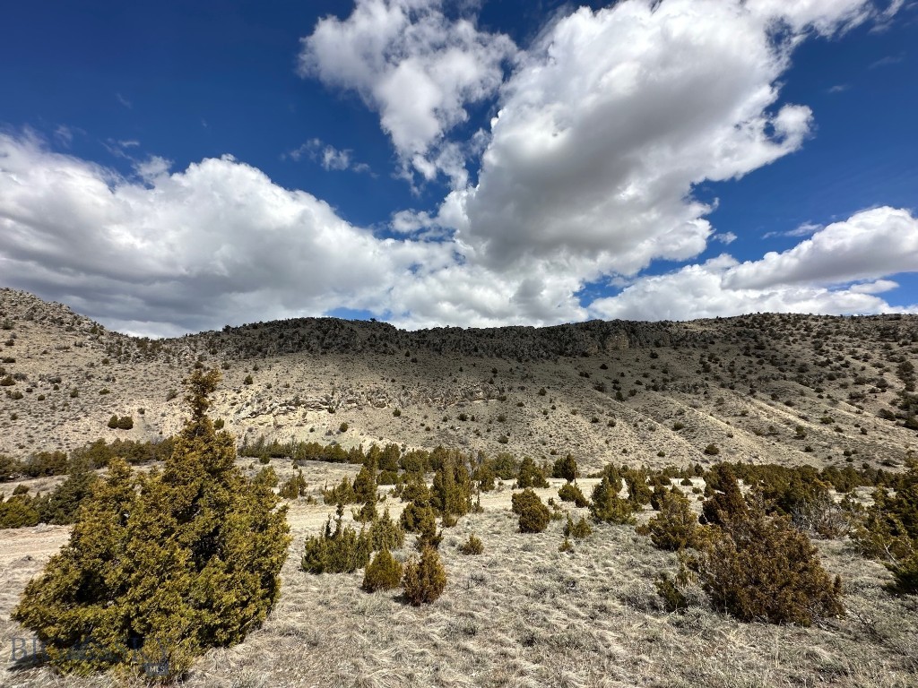 TBD Nixon Gulch Road