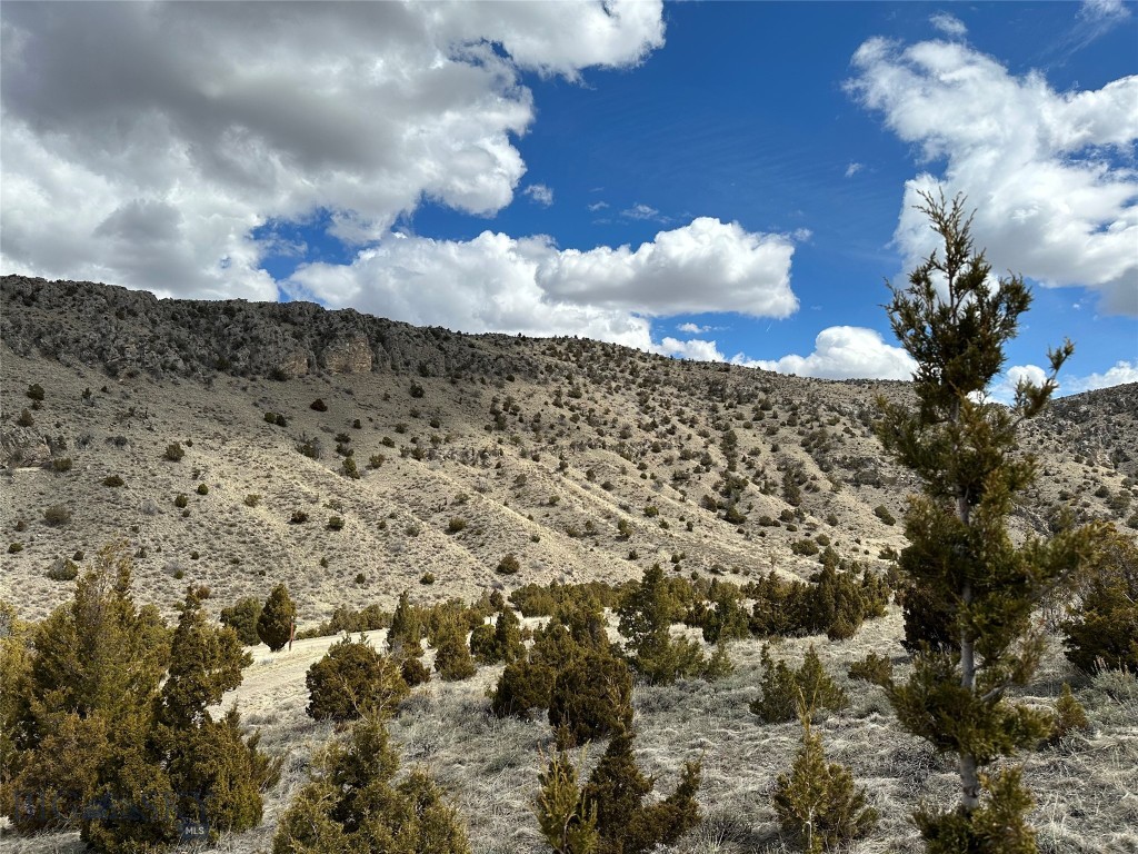 TBD Nixon Gulch Road