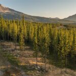 TBD One&Only Private Estate Lot 3