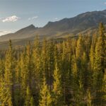 TBD One&Only Private Estate Lot 3