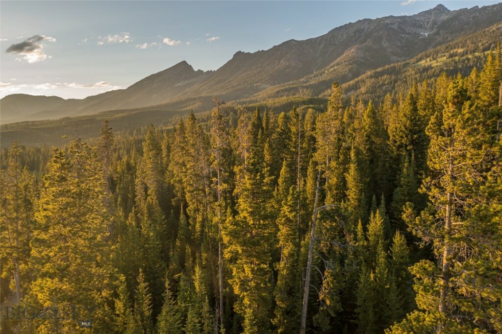 TBD One&Only Private Estate Lot 5