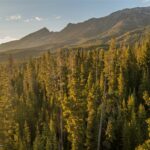 TBD One&Only Private Estate Lot 5