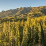 TBD One&Only Private Estate Lot 6