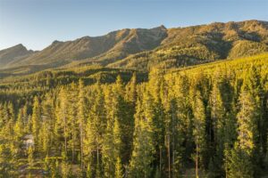 TBD One&Only Private Estate Lot 6, Big Sky MT 59716