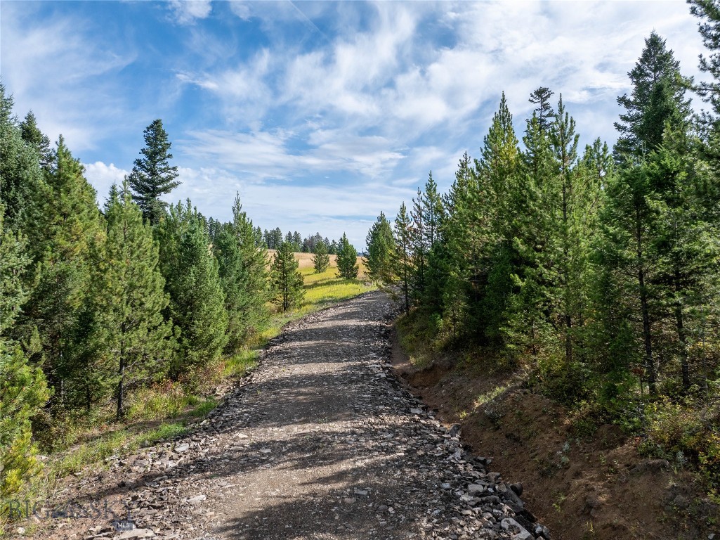 Woodchuck Road