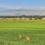 Belgrade MT 59714 - 1