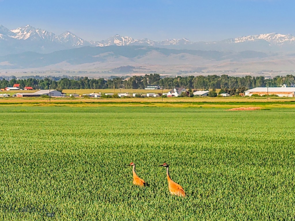 Belgrade MT 59714 - 1