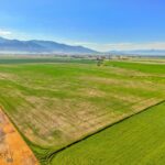 Belgrade MT 59714 - 9