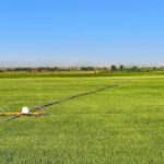 Belgrade MT 59714 - 2