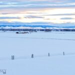 Belgrade MT 59714 - 24