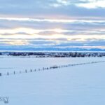 TBD Penwell Bridge Road