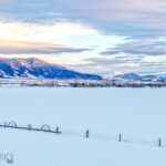 Belgrade MT 59714 - 25