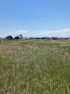 tbd Rae Lane - Lot 3, Belgrade MT 59714