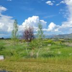 Bozeman MT 59715 - 2