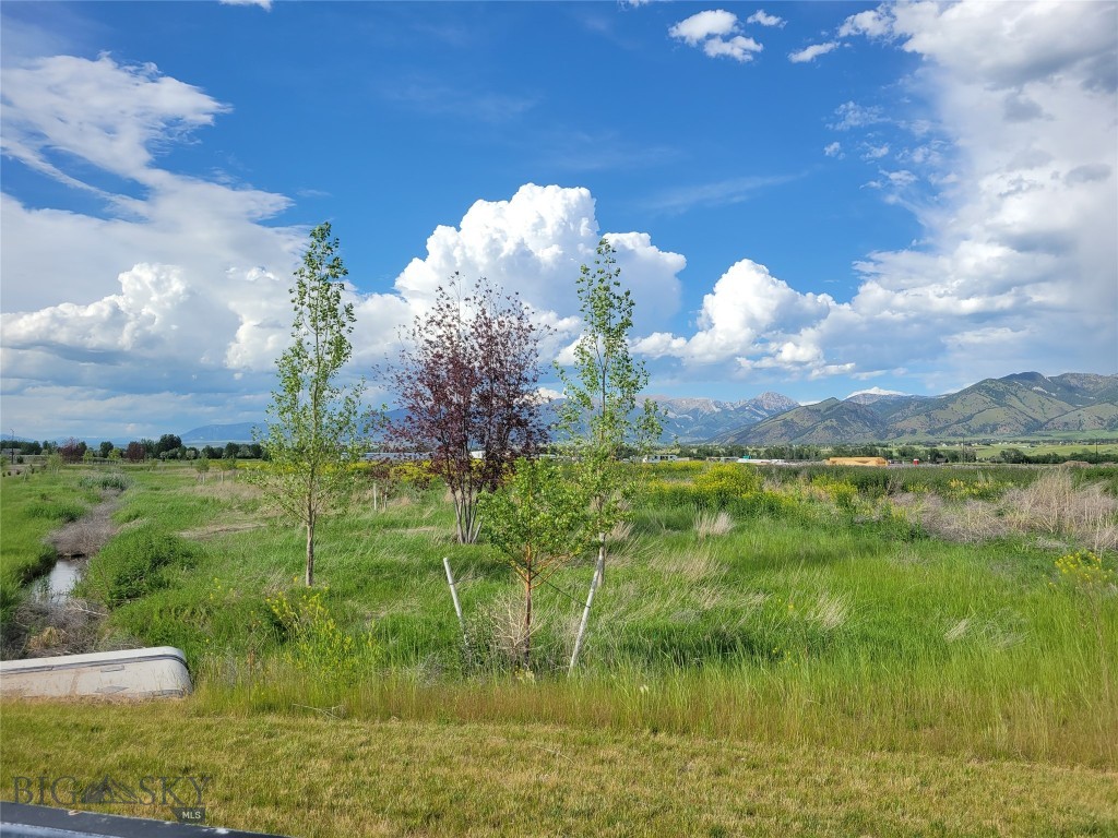 Bozeman MT 59715 - 2