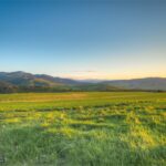 Bozeman MT 59718 - 1