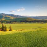 Bozeman MT 59718 - 8