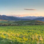 TBD S Whistleberry Road