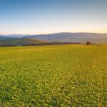 TBD S Whistleberry Road