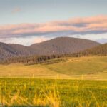 Bozeman MT 59718 - 4