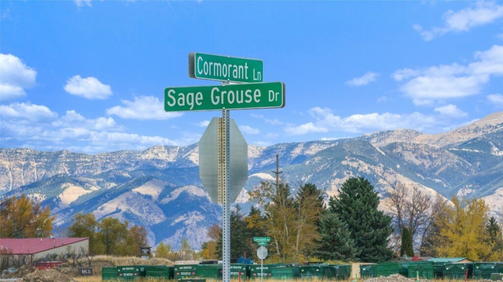 TBD Sage Grouse Drive