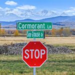 Bozeman MT 59718 - 1