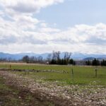 Bozeman MT 59718 - 5