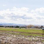 Bozeman MT 59718 - 2