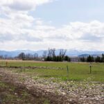 Bozeman MT 59718 - 5