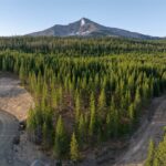 TBD Sawtooth Road