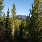 TBD Sawtooth Road