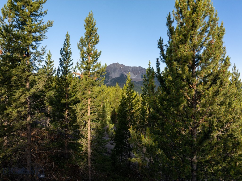 TBD Sawtooth Road