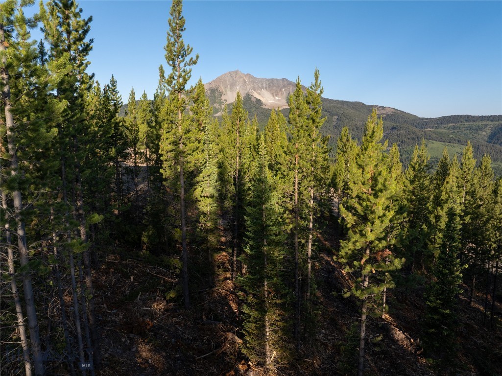 Big Sky MT 59716 - 1